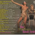 david-bowie-the-vintage-back