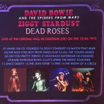 david-bowie-dead-roses-1972-chatham